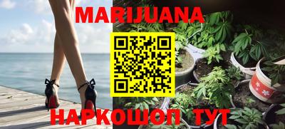 дживик Кингисепп