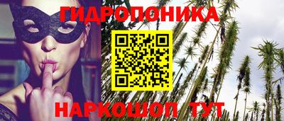 дживик Кингисепп