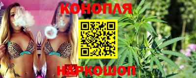 дживик Кингисепп