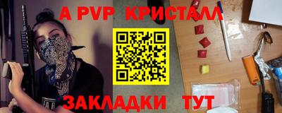 дживик Кингисепп