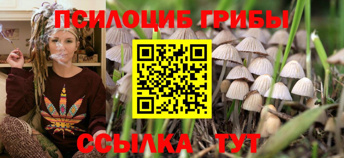 Псилоцибиновые грибы мухоморы Хабаровск