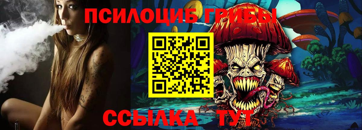 Галлюциногенные грибы GOLDEN TEACHER  Вход с VPN  Хабаровск  Псилоцибиновые грибы прущие грибы 