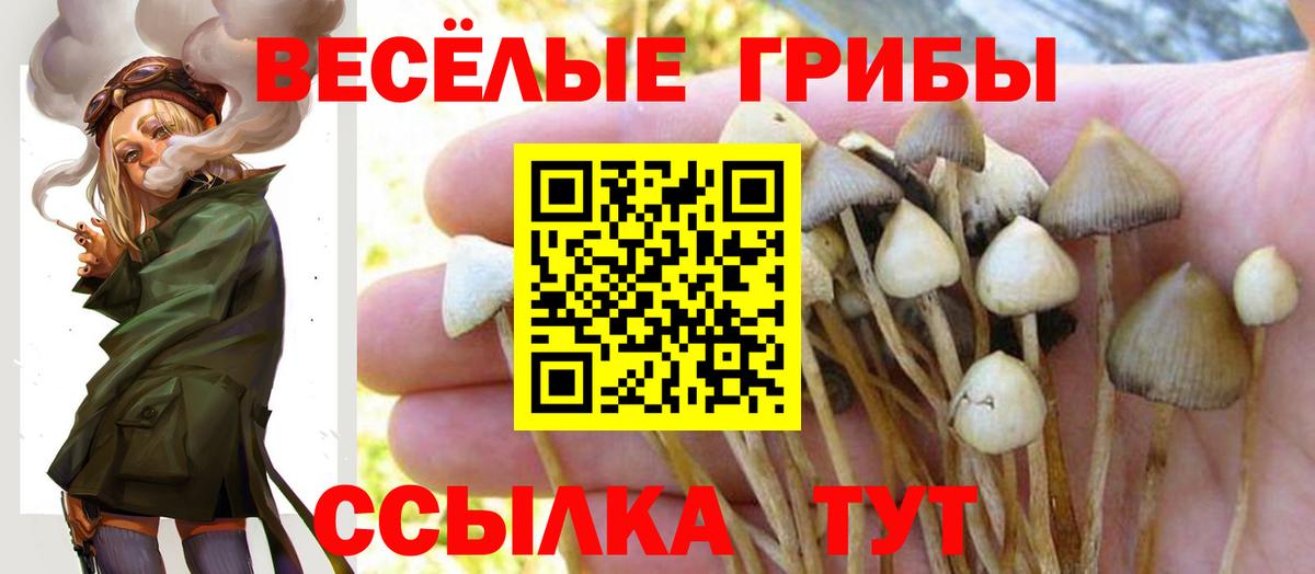 Галлюциногенные грибы Cubensis Хабаровск